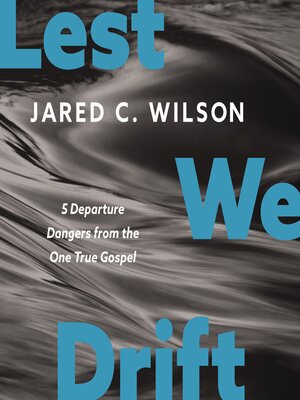 cover image of Lest We Drift